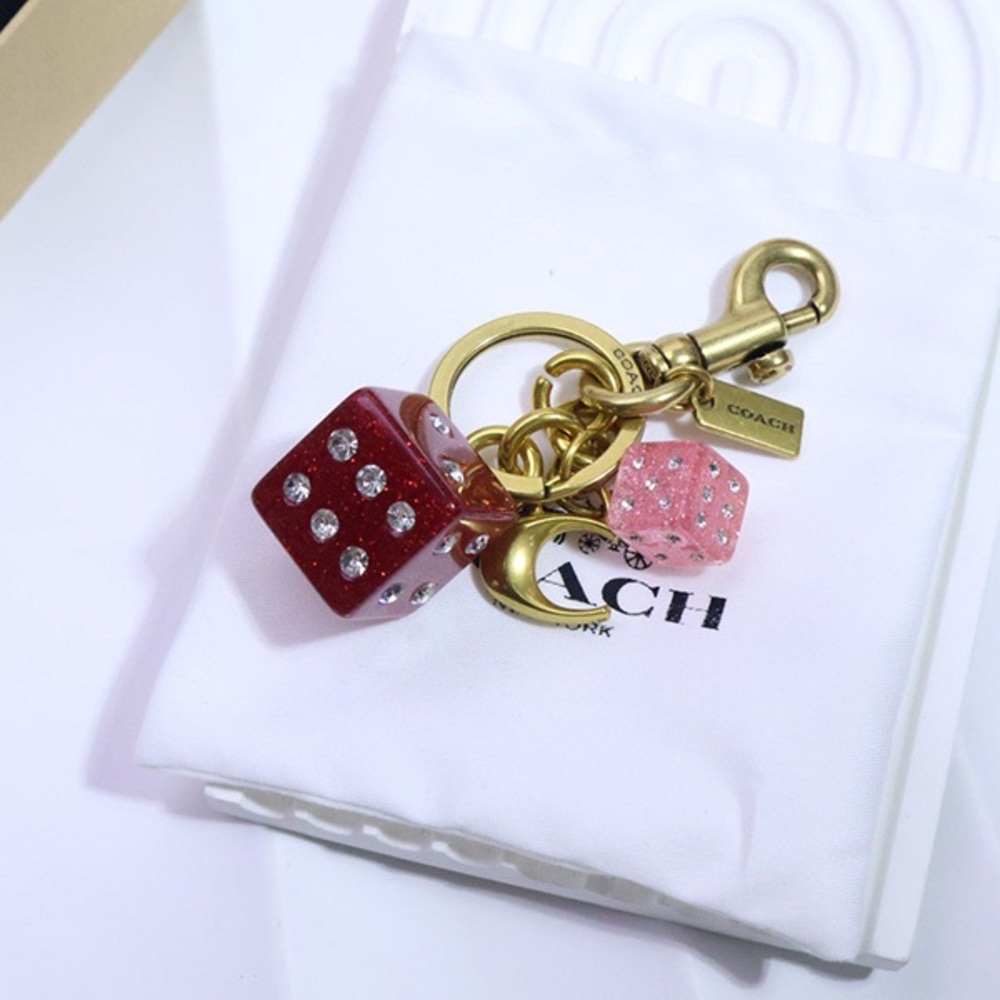 Coach Sieve Keychain Bag Charm